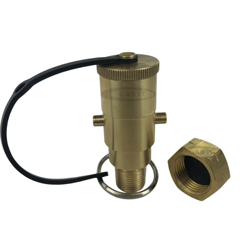 GAS IT On Bottle Vertical Fill Conversion Kit. 